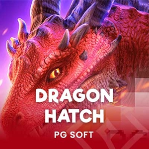Dragon Hatch
